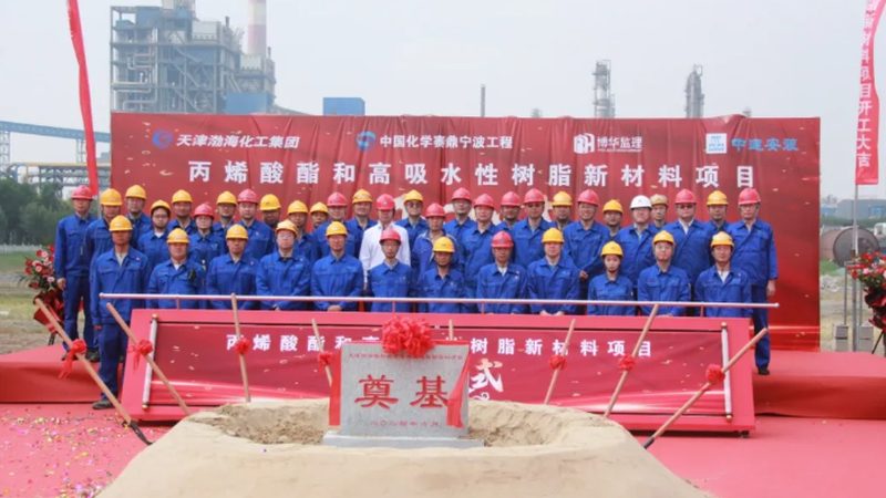 色母粒与色粉：性能对比与选择要点